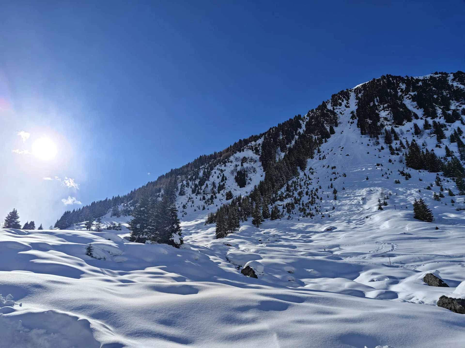 © Andrea Stamberger (Statt heute in der Sonne die Schneelandschaft zu genießen, standen wir im Dauerschatten und gaben uns dem Eishacken hin)