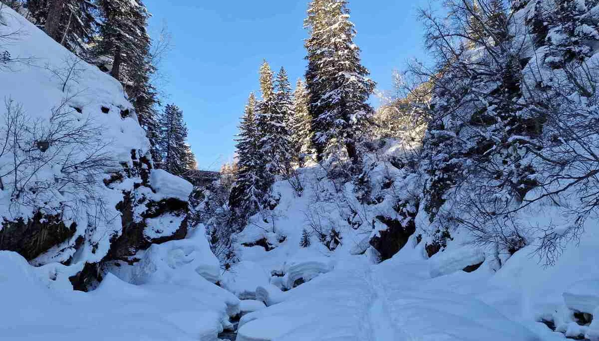 © Martin Götz (Zustieg zu den Eiswänden in der Taschachschlucht)