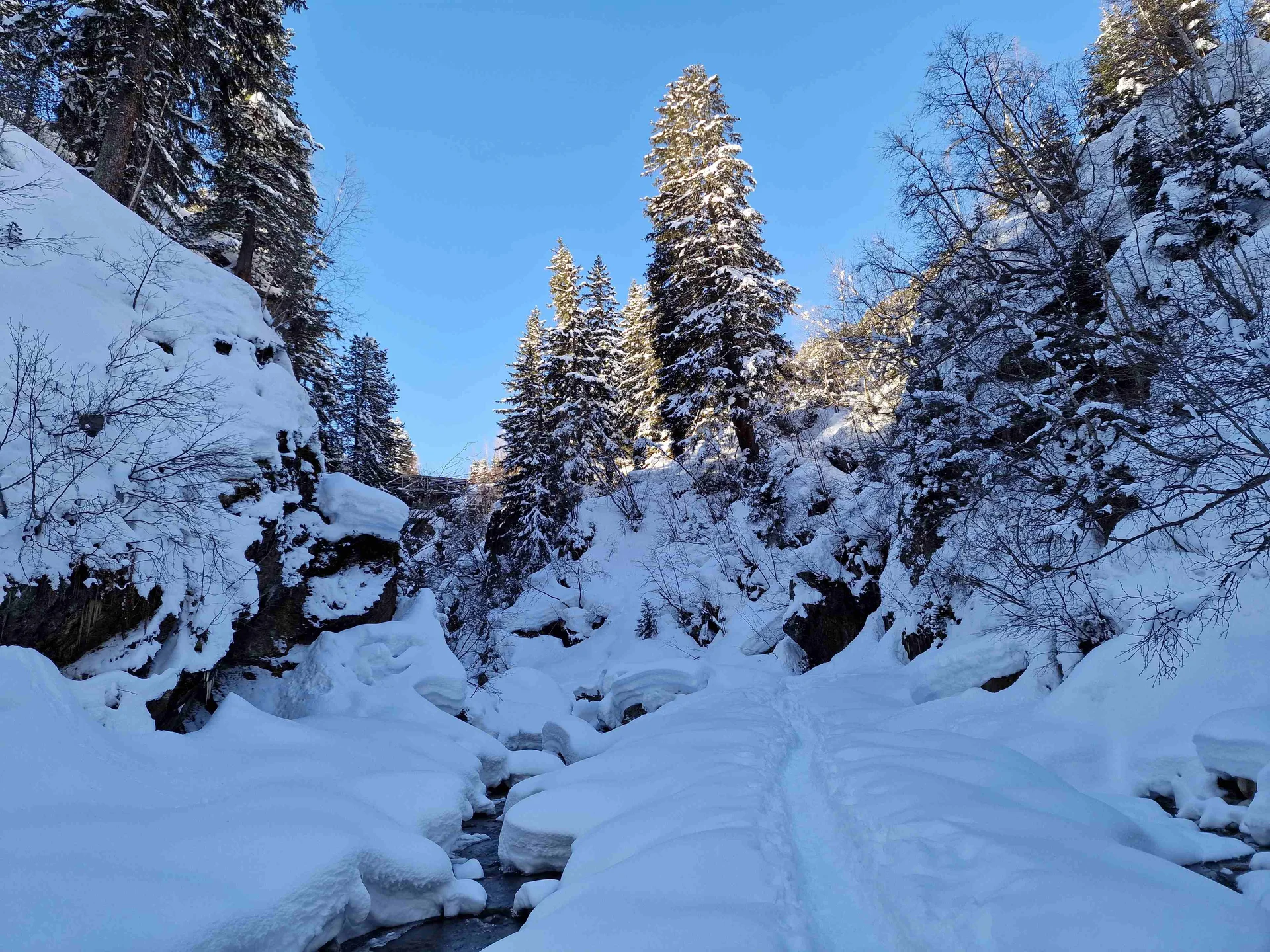 © Martin Götz (Zustieg zu den Eiswänden in der Taschachschlucht)