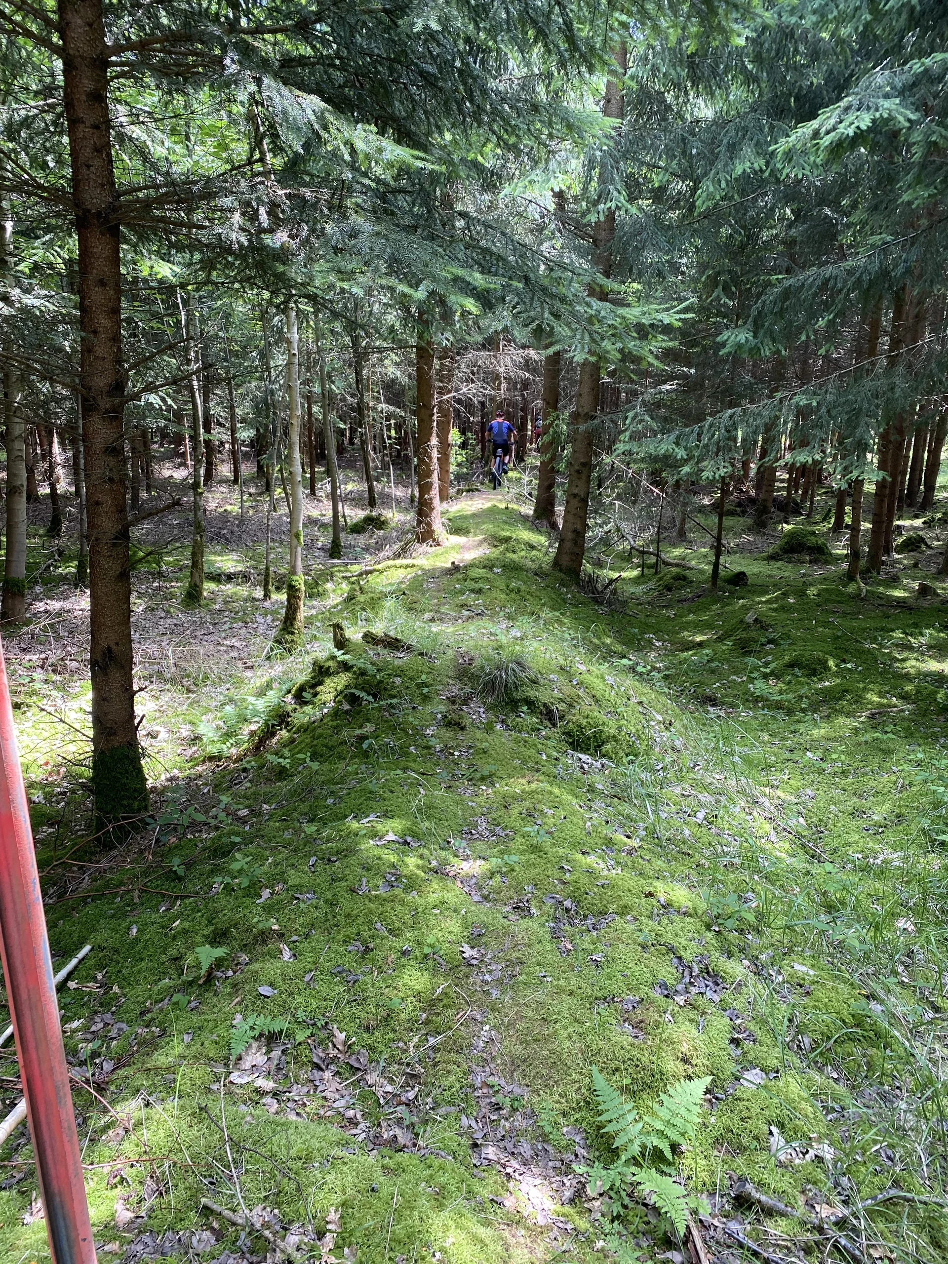 © DAV Gangkofen (Sonderwunsch)