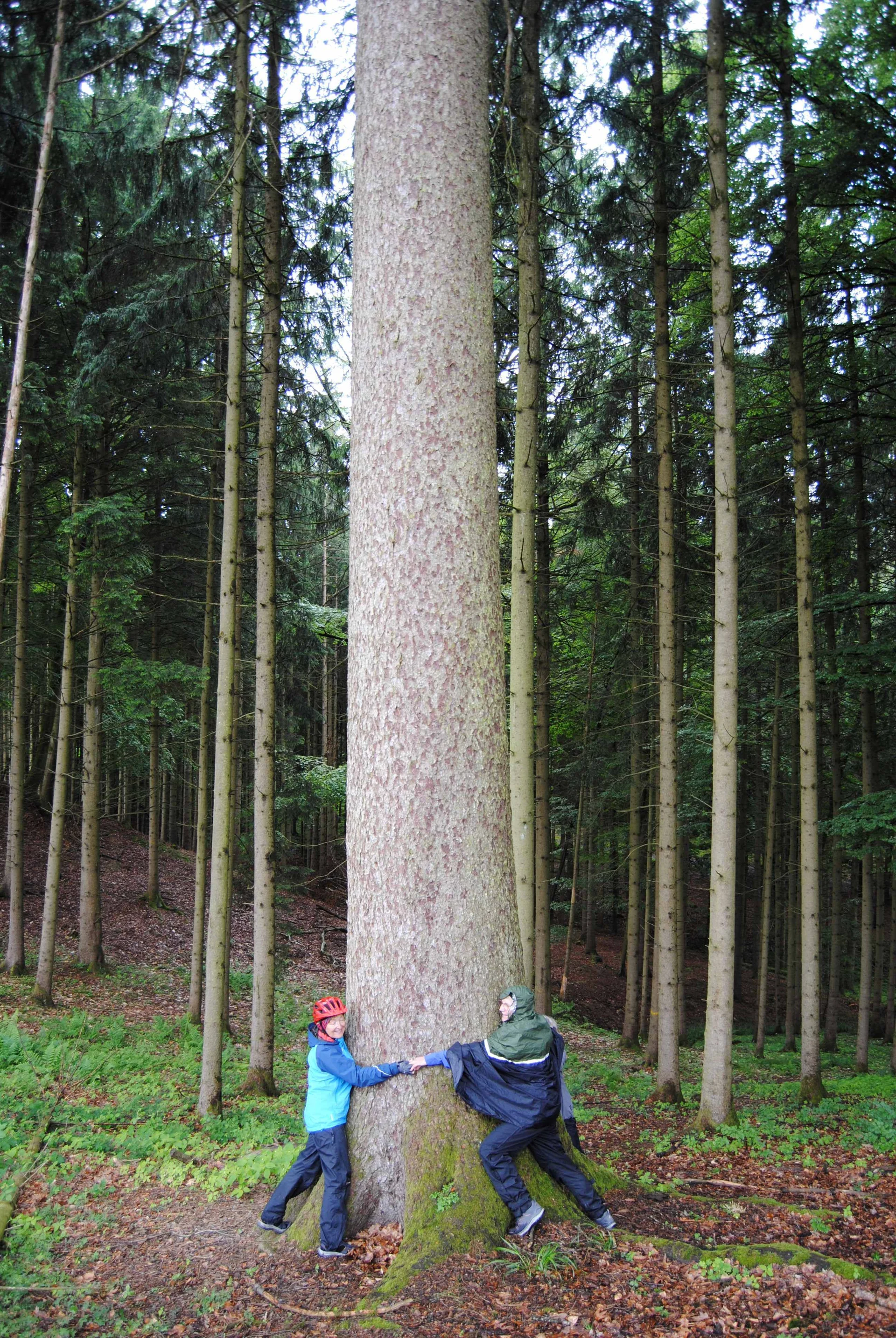 © (DAV Gangkofen) Vier Personen waren für Umarmung notwendig