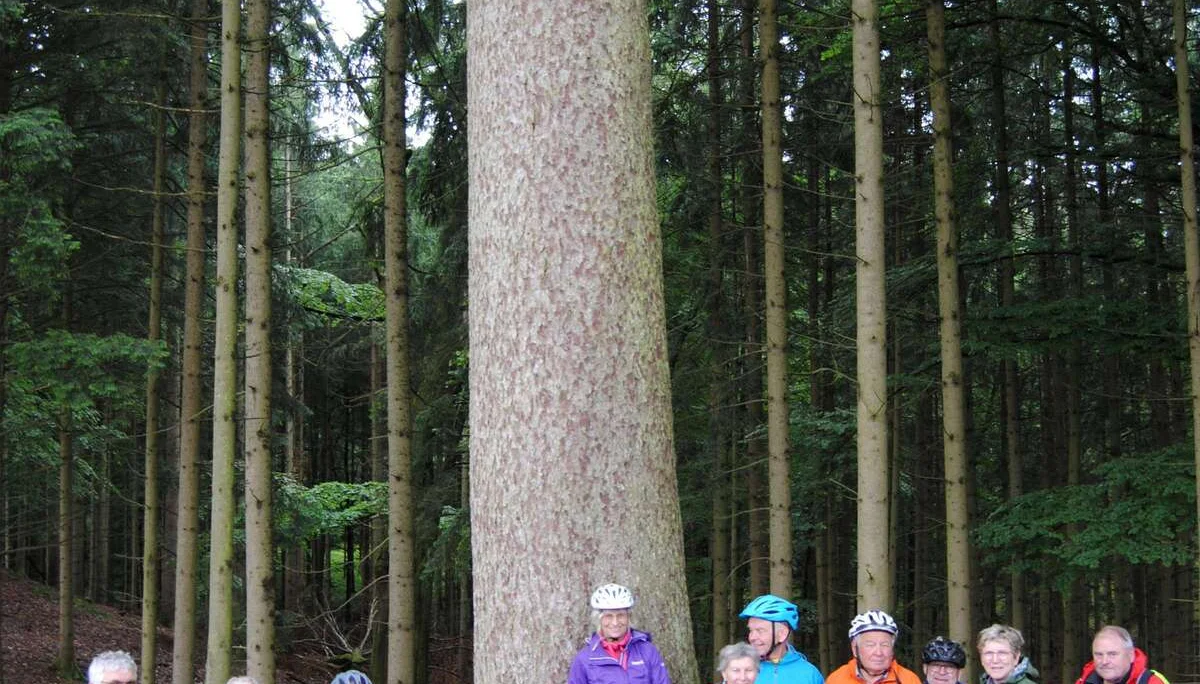 © (DAV Gangkofen) Radlergruppe bei der „Mutter des Waldes“