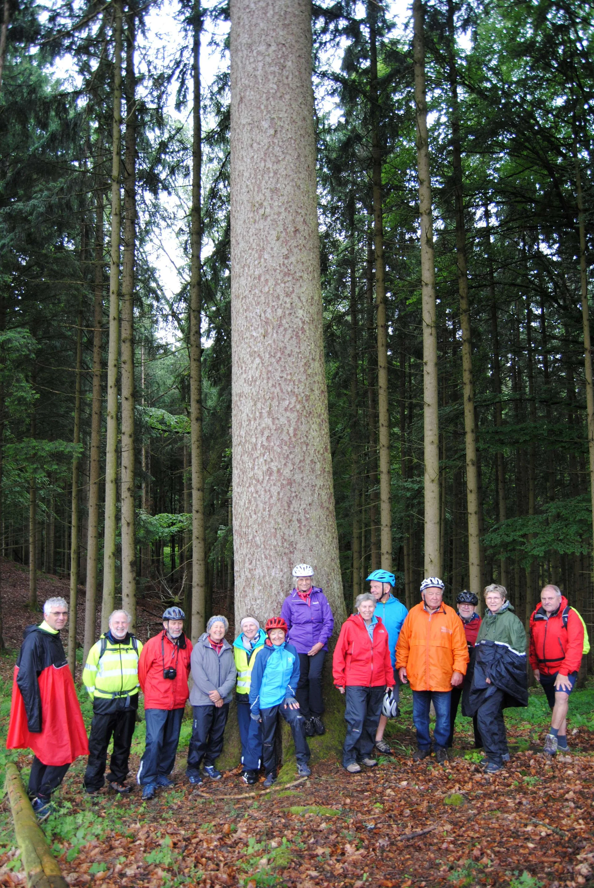 © (DAV Gangkofen) Radlergruppe bei der „Mutter des Waldes“