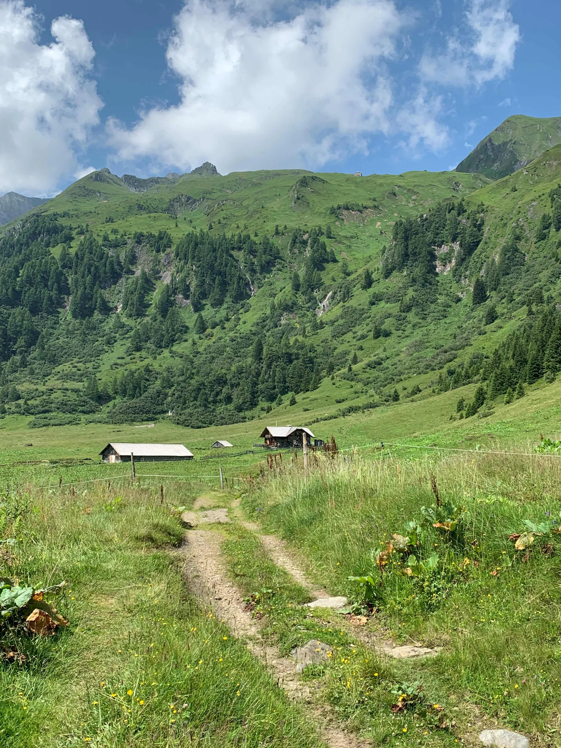 © Klaus Mölzl "Hirzbachalm 1700m" 