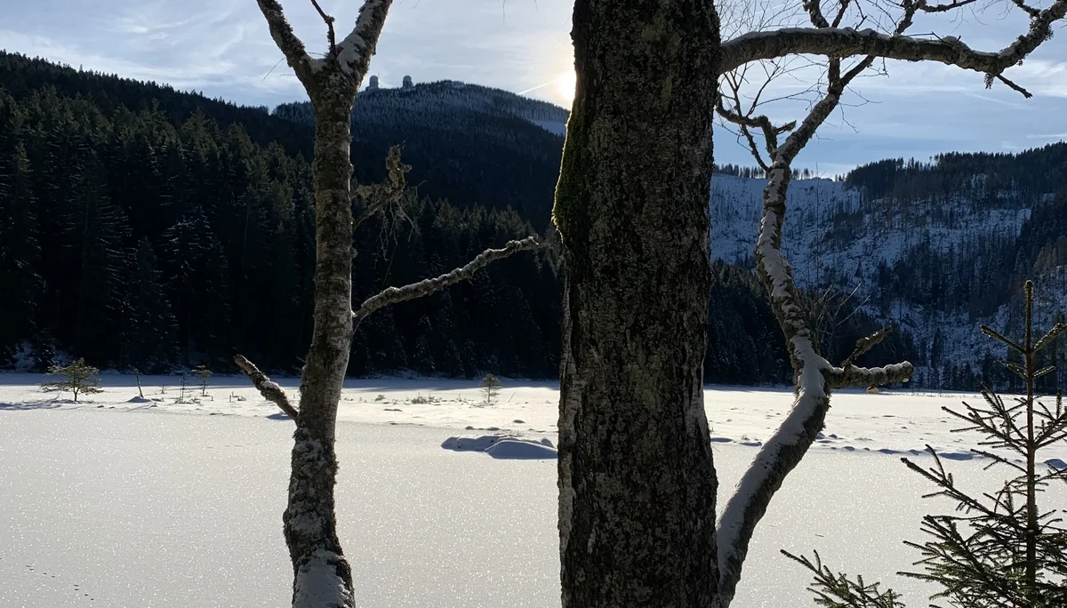 © (DAV Gangkofen) kleiner Arbersee, im Hintergrund der große Arber