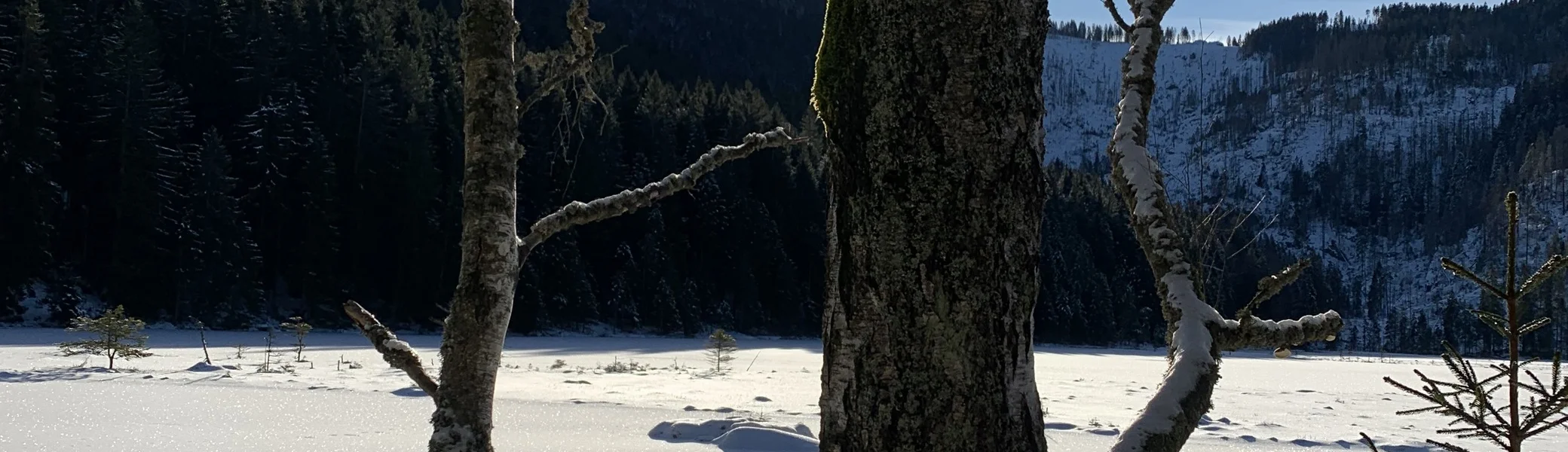 © (DAV Gangkofen) kleiner Arbersee, im Hintergrund der große Arber
