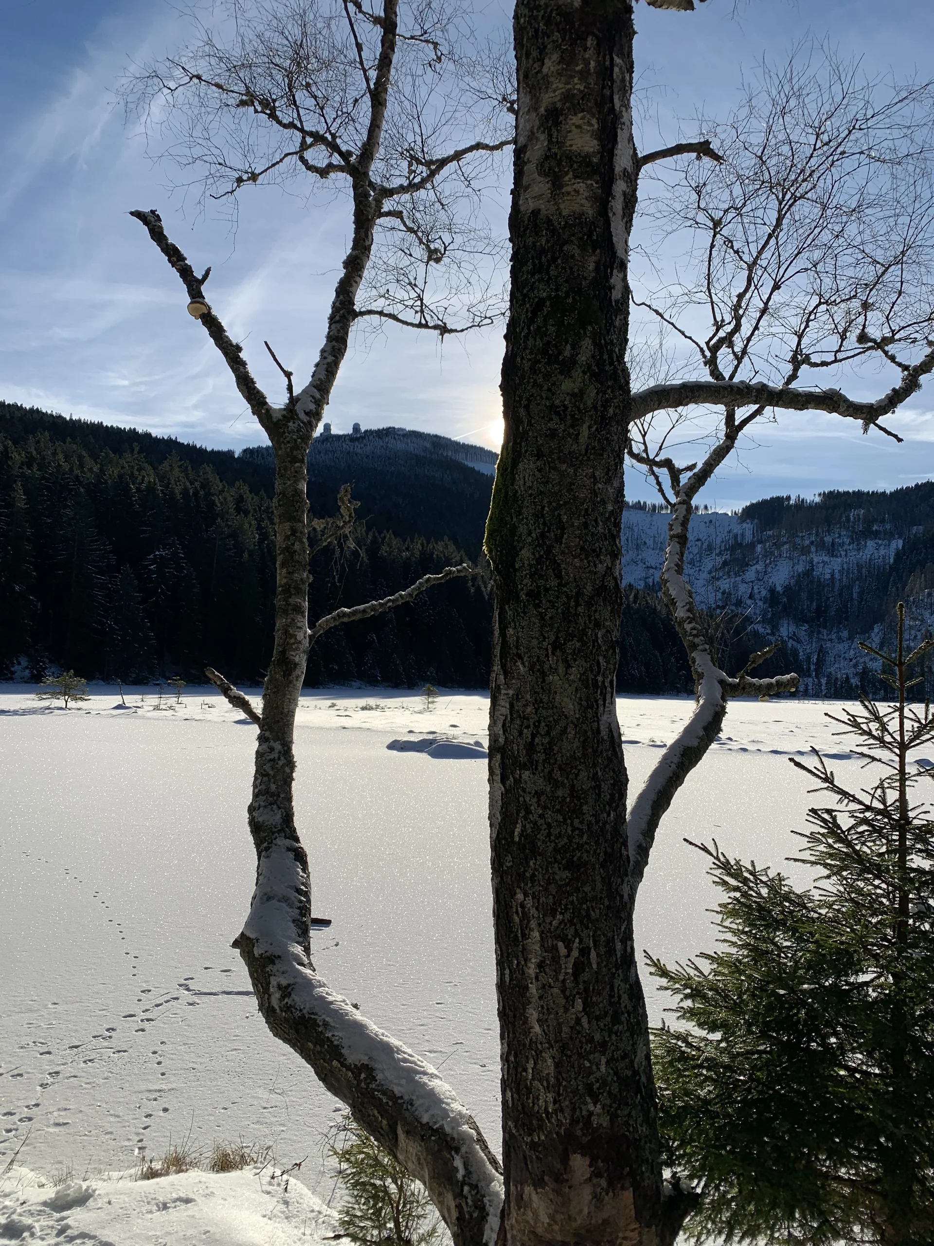 © (DAV Gangkofen) kleiner Arbersee, im Hintergrund der große Arber