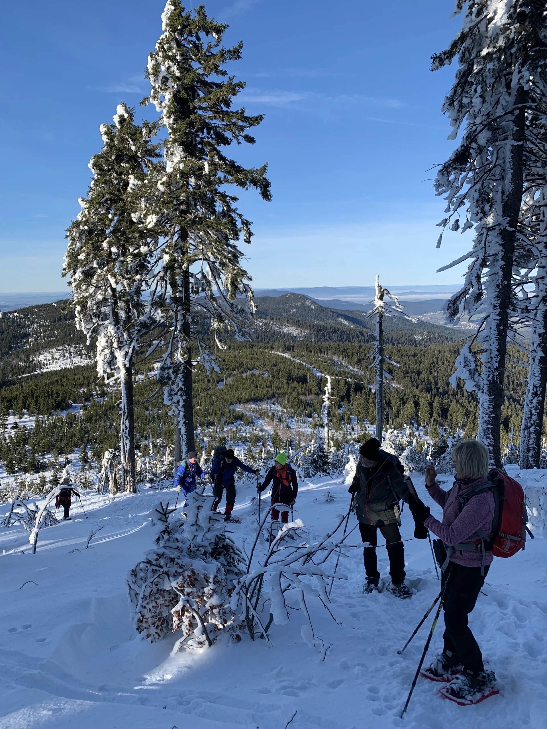 © (DAV Gangkofen) letzter Anstieg zum kleinen Arber
