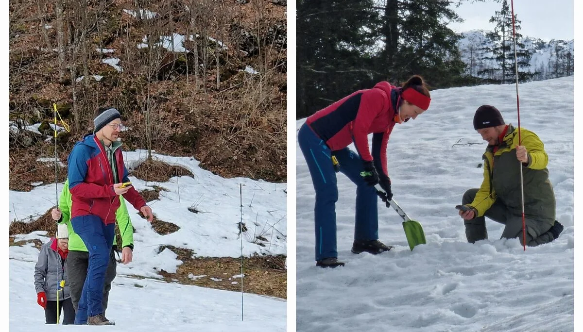 © (Martin Götz) Beim Suchen