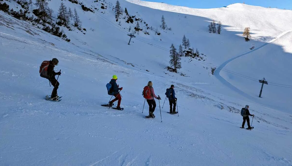 © (Martin Götz) Abstieg zur Mittelstation der Bergbahn