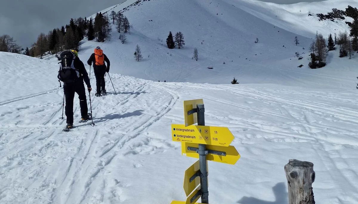© (Martin Götz) Aufstieg vom Parkplatz an der Gnadenalm.