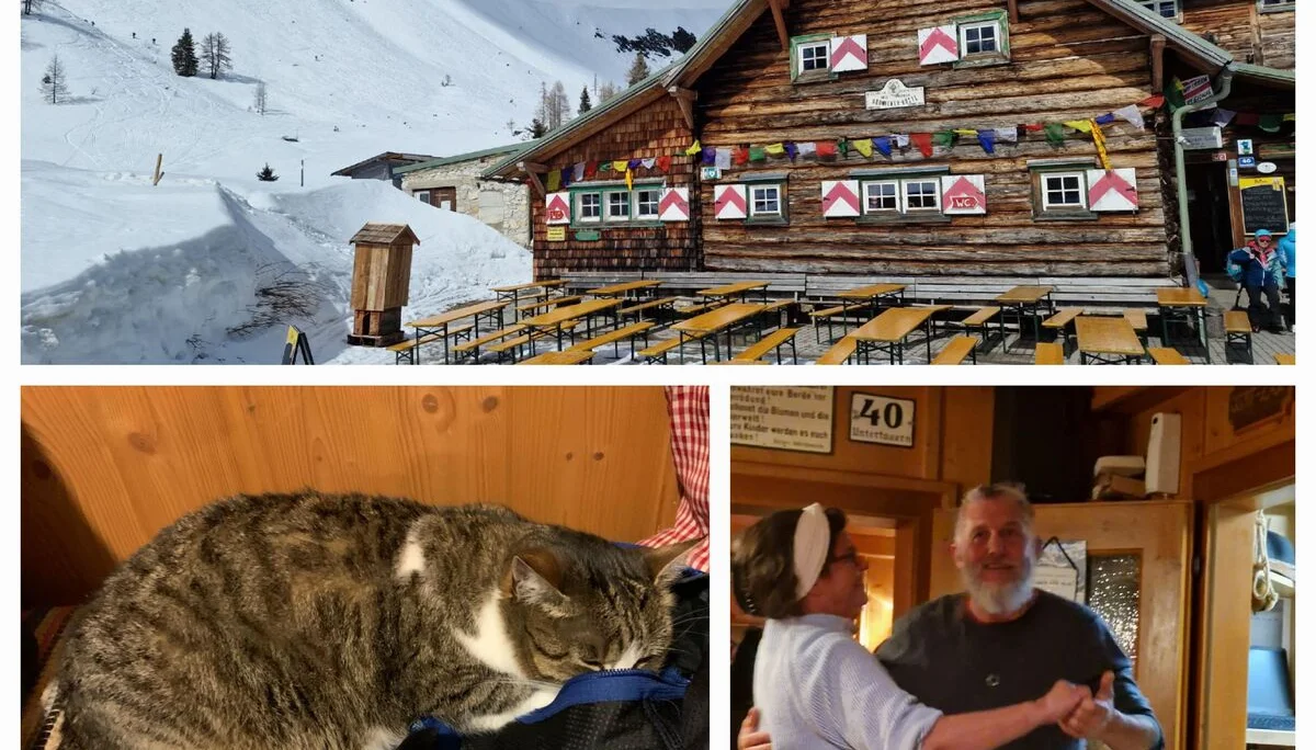 © (Martin Götz) Die Südwiener Hütte, noch ohne Gäste – Am Abend animierte die italienische Gruppe mit ihrer Musik das Hüttenwirtepaar zum Tanz – die Hauskatze blieb davon völlig unbeeindruckt