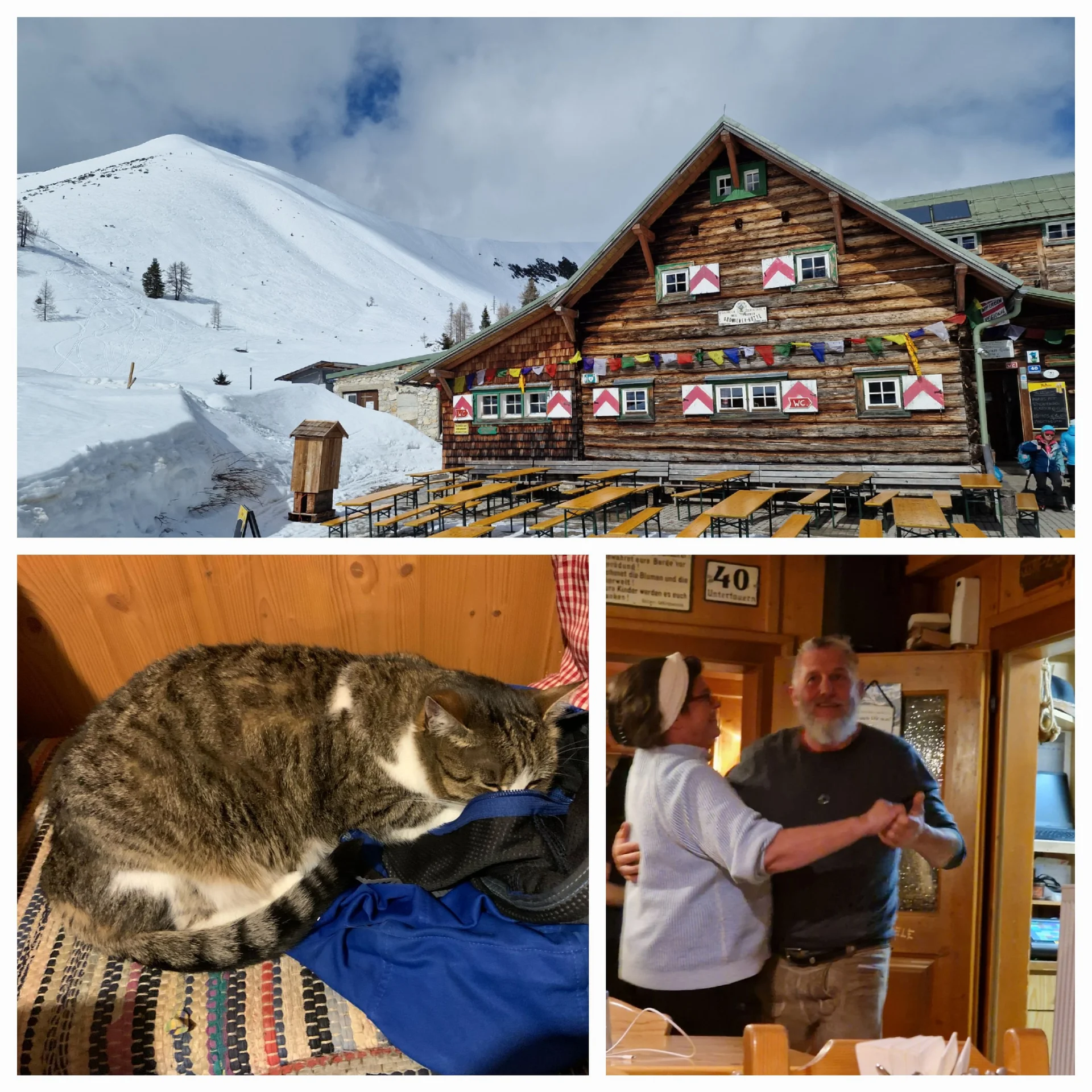 © (Martin Götz) Die Südwiener Hütte, noch ohne Gäste – Am Abend animierte die italienische Gruppe mit ihrer Musik das Hüttenwirtepaar zum Tanz – die Hauskatze blieb davon völlig unbeeindruckt