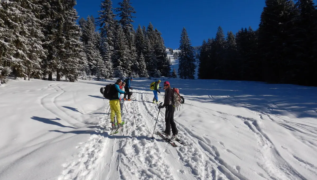 © Max Altmannshofer