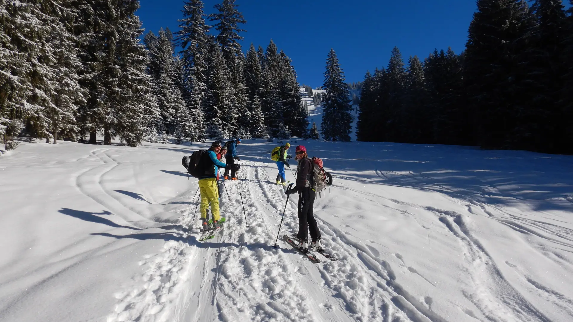 © Max Altmannshofer