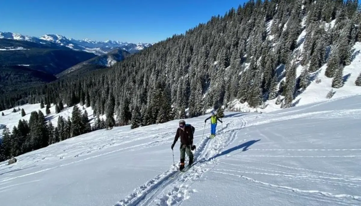 © Max Altmannshofer