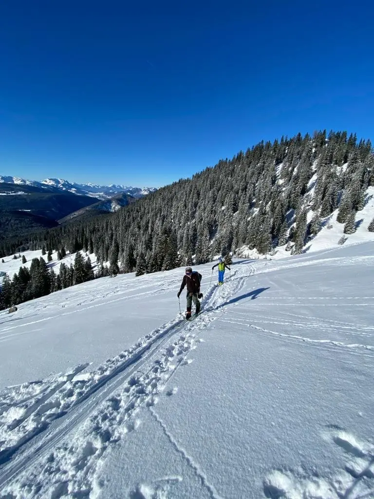 © Max Altmannshofer