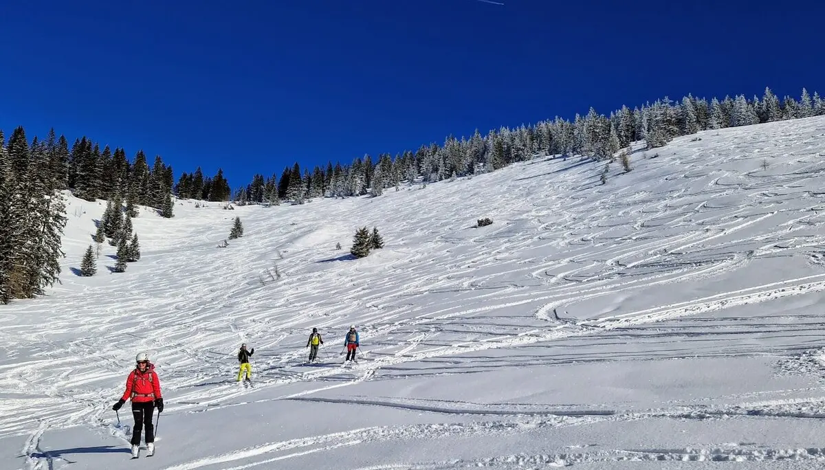 © Max Altmannshofer