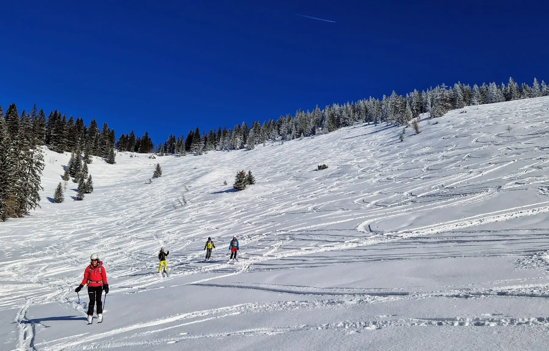 © Max Altmannshofer