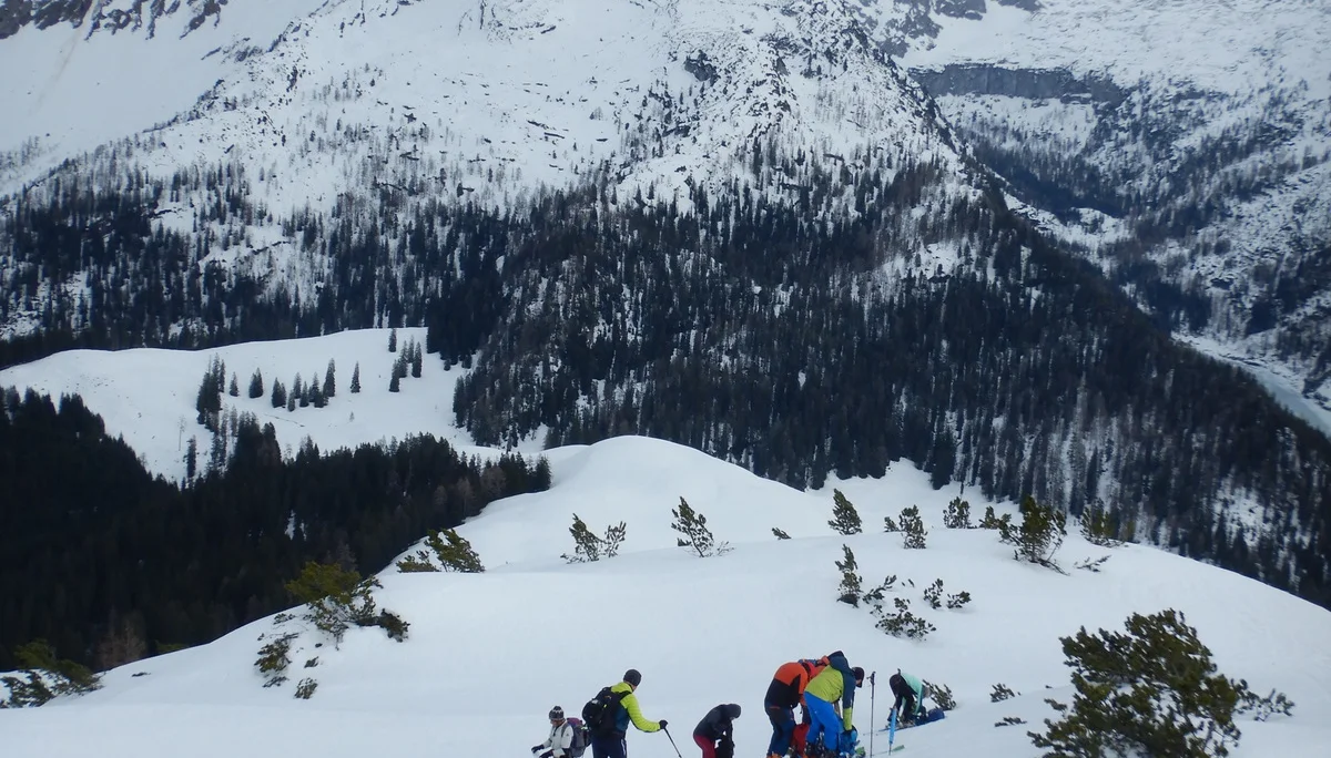 © Max Altmannshofer 1.Tag Kühkranz, Abfellen bei starken Wind