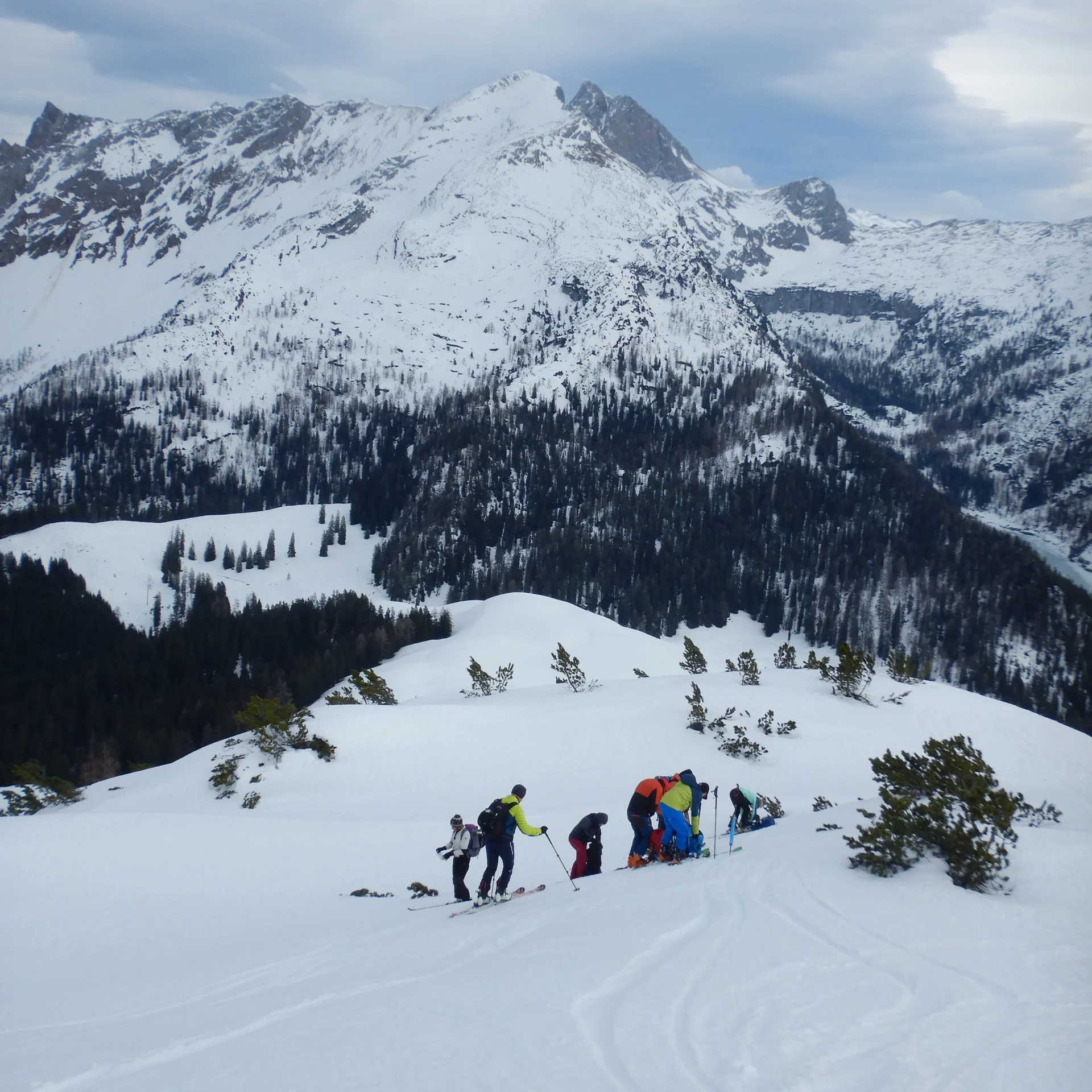 © Max Altmannshofer 1.Tag Kühkranz, Abfellen bei starken Wind