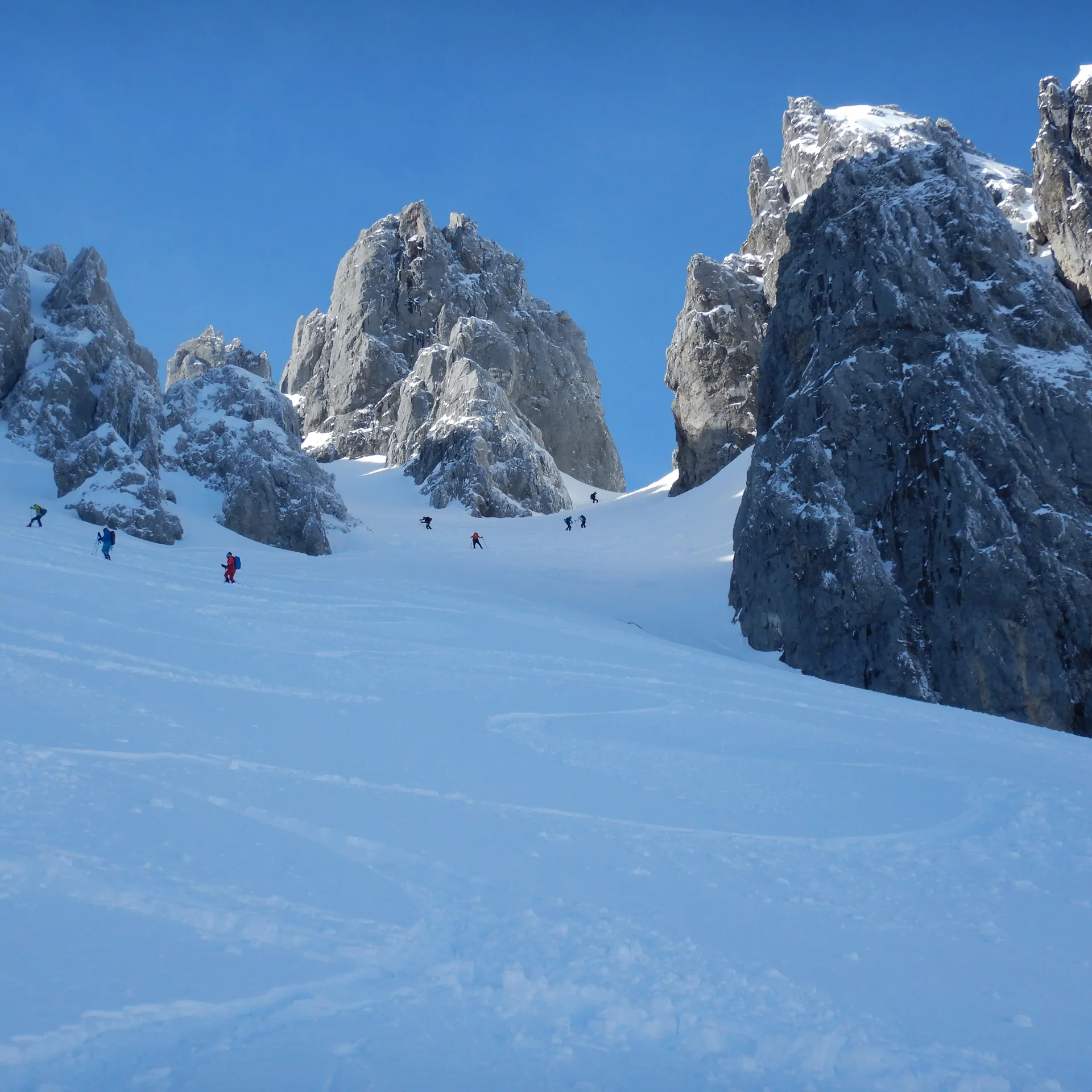 © Max Altmannshofer