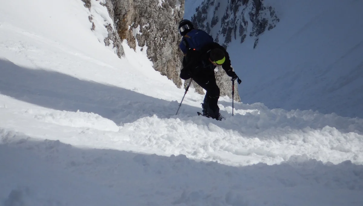 © Max Altmannshofer