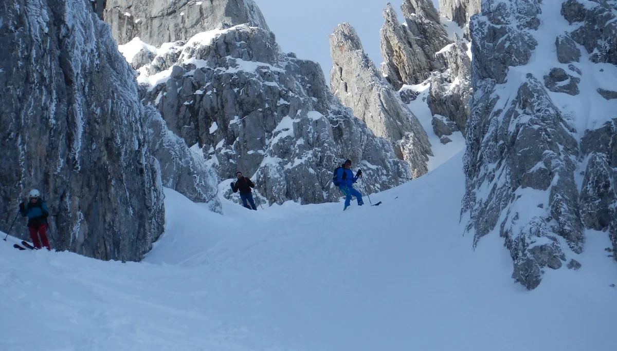 © Max Altmannshofer