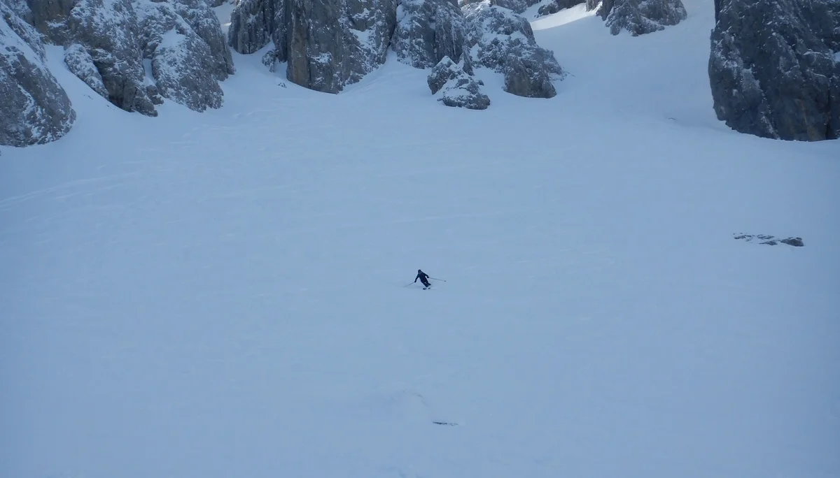 © Max Altmannshofer