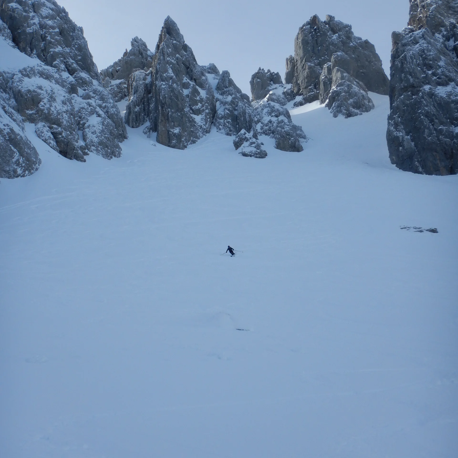 © Max Altmannshofer