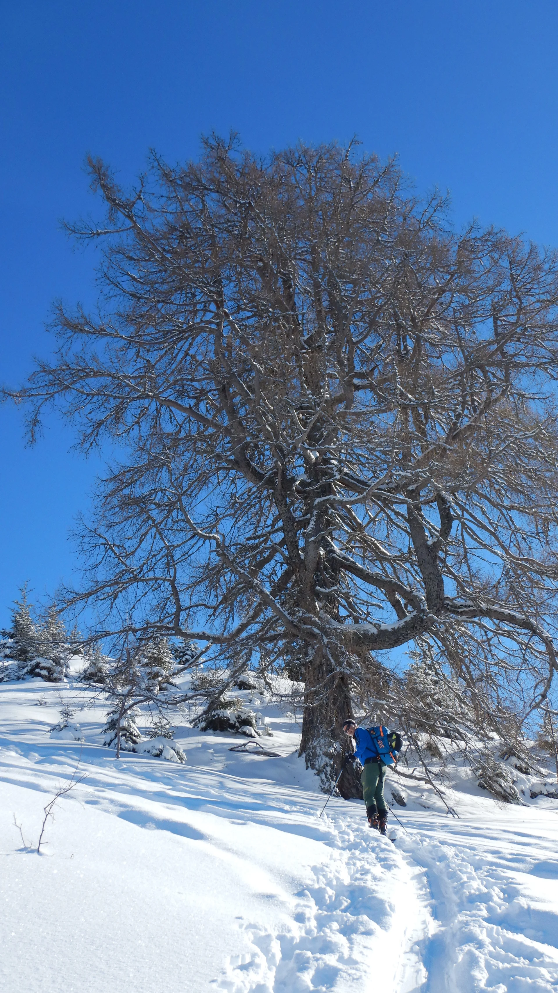 © Max Altmannshofer