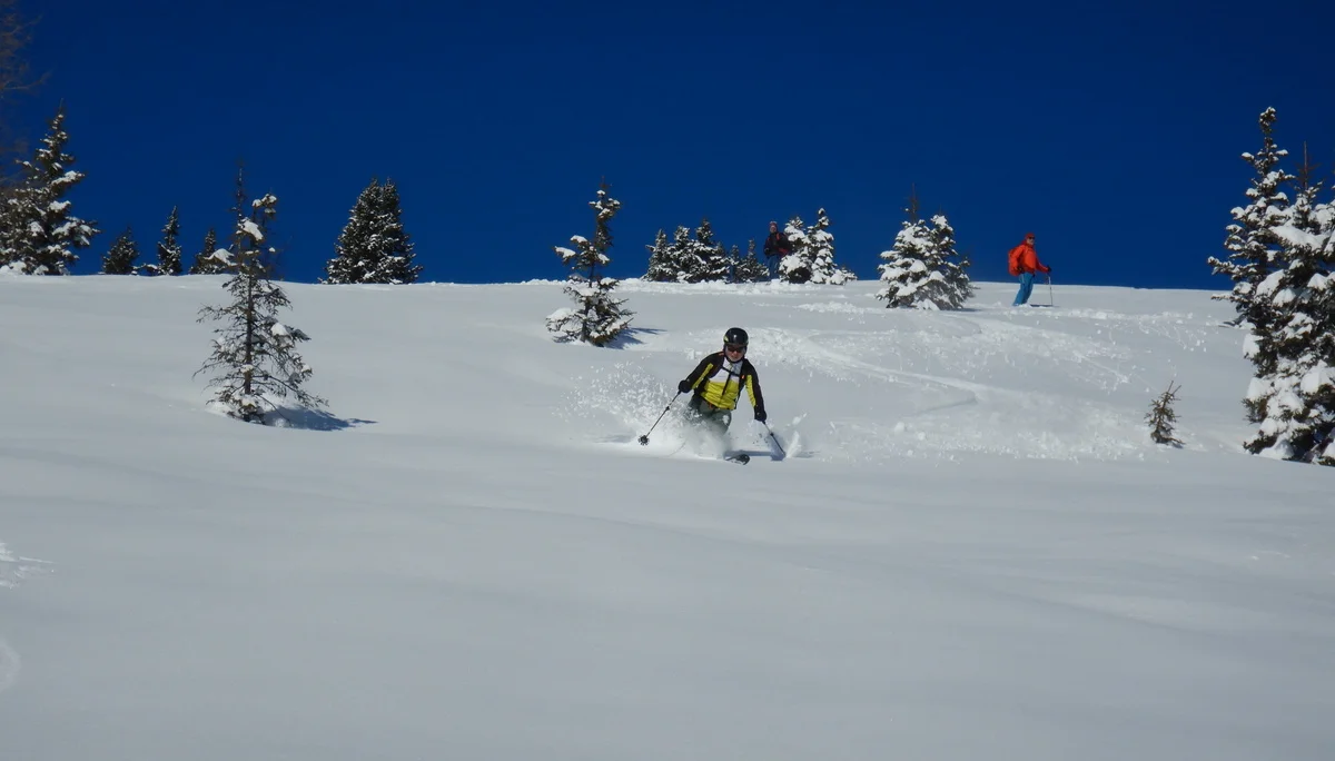 © Max Altmannshofer