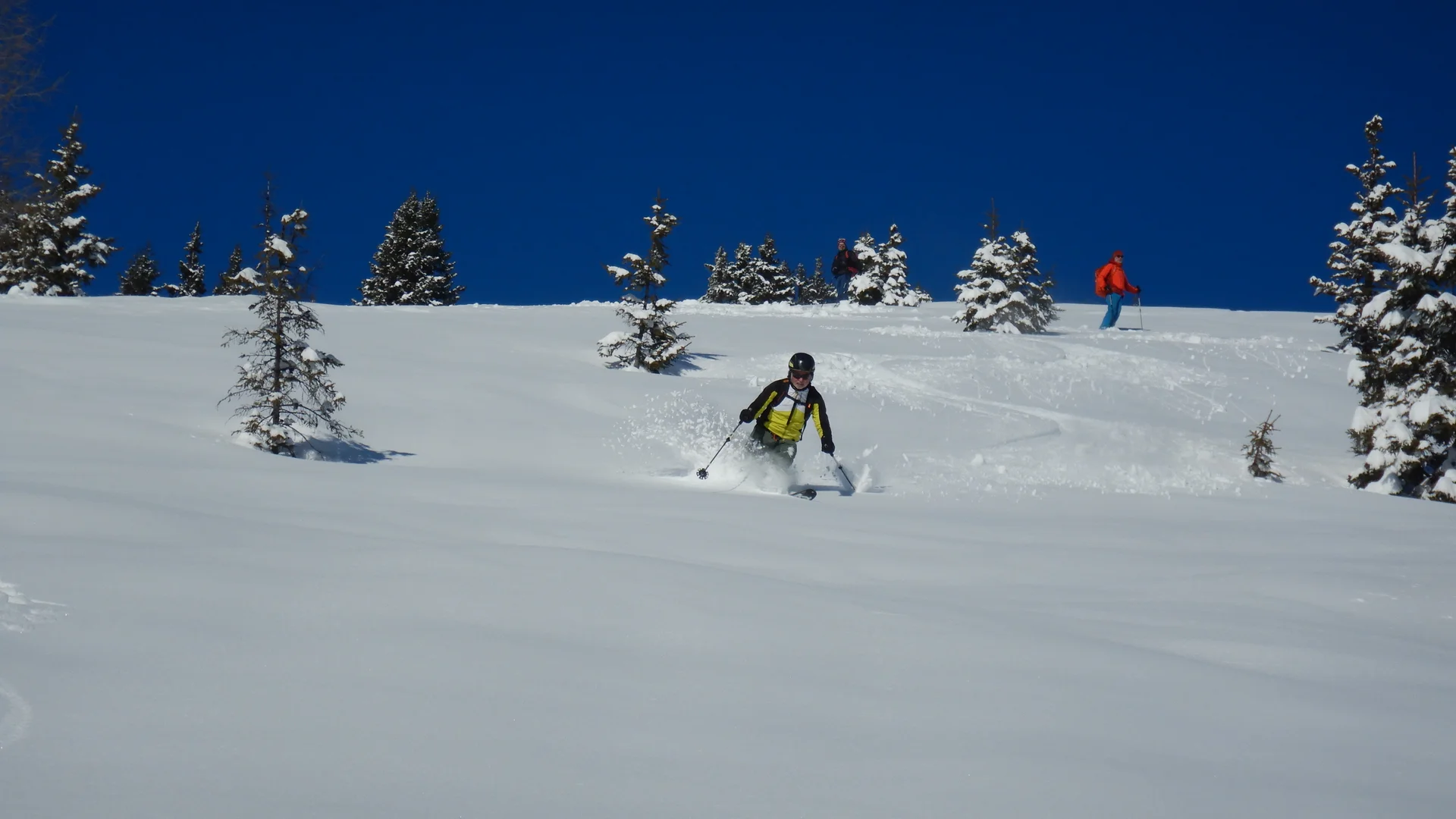 © Max Altmannshofer