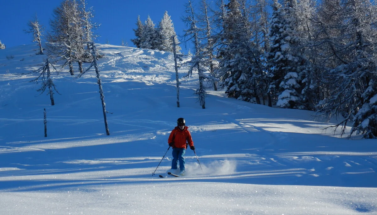 © Max Altmannshofer