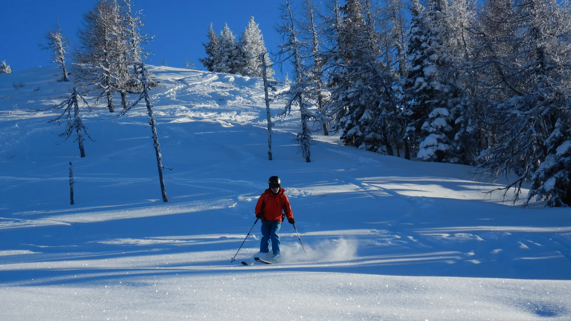 © Max Altmannshofer