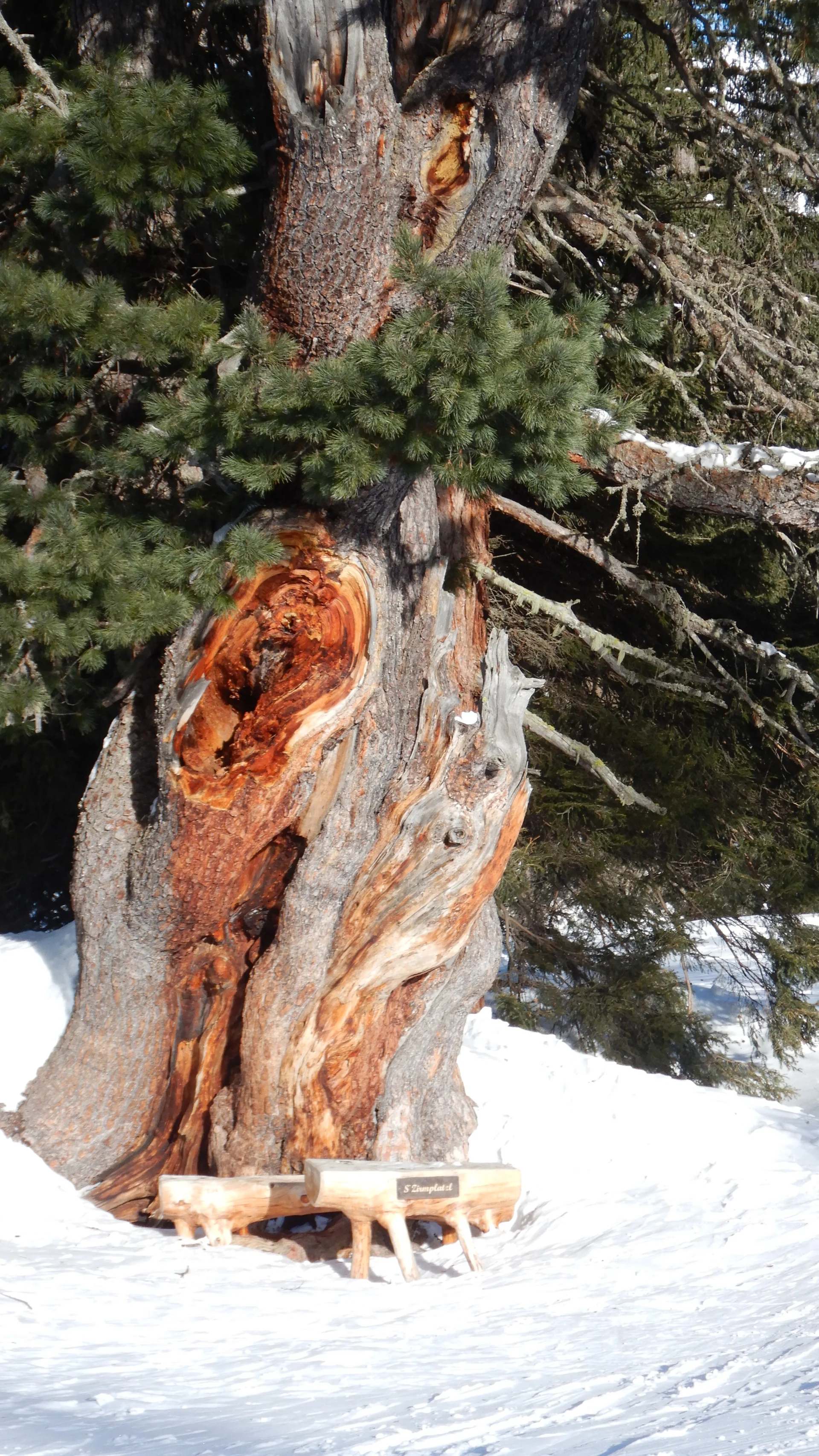 © Max Altmannshofer