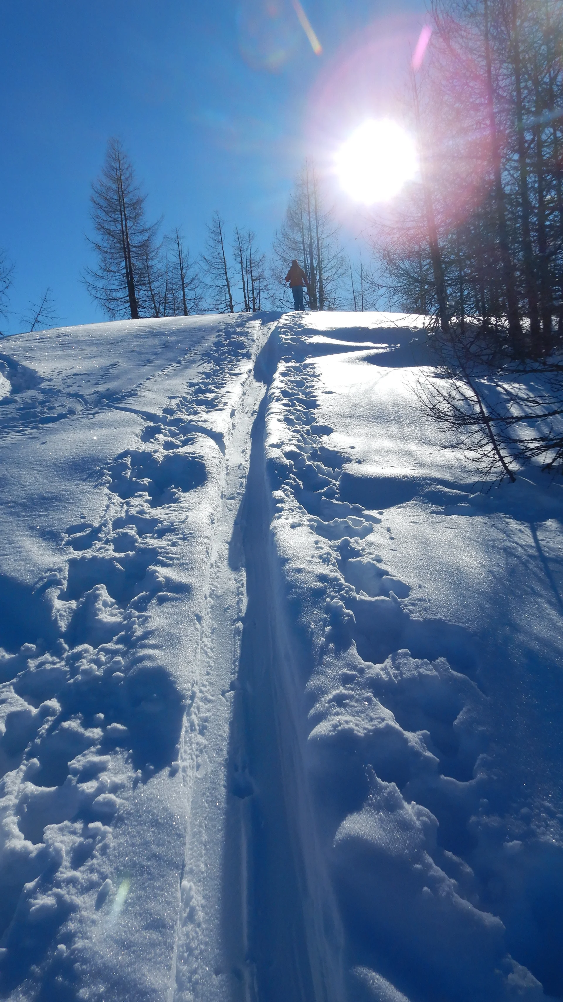 © Max Altmannshofer