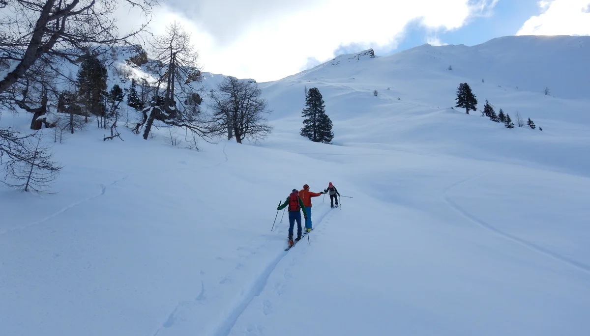 © Max Altmannshofer