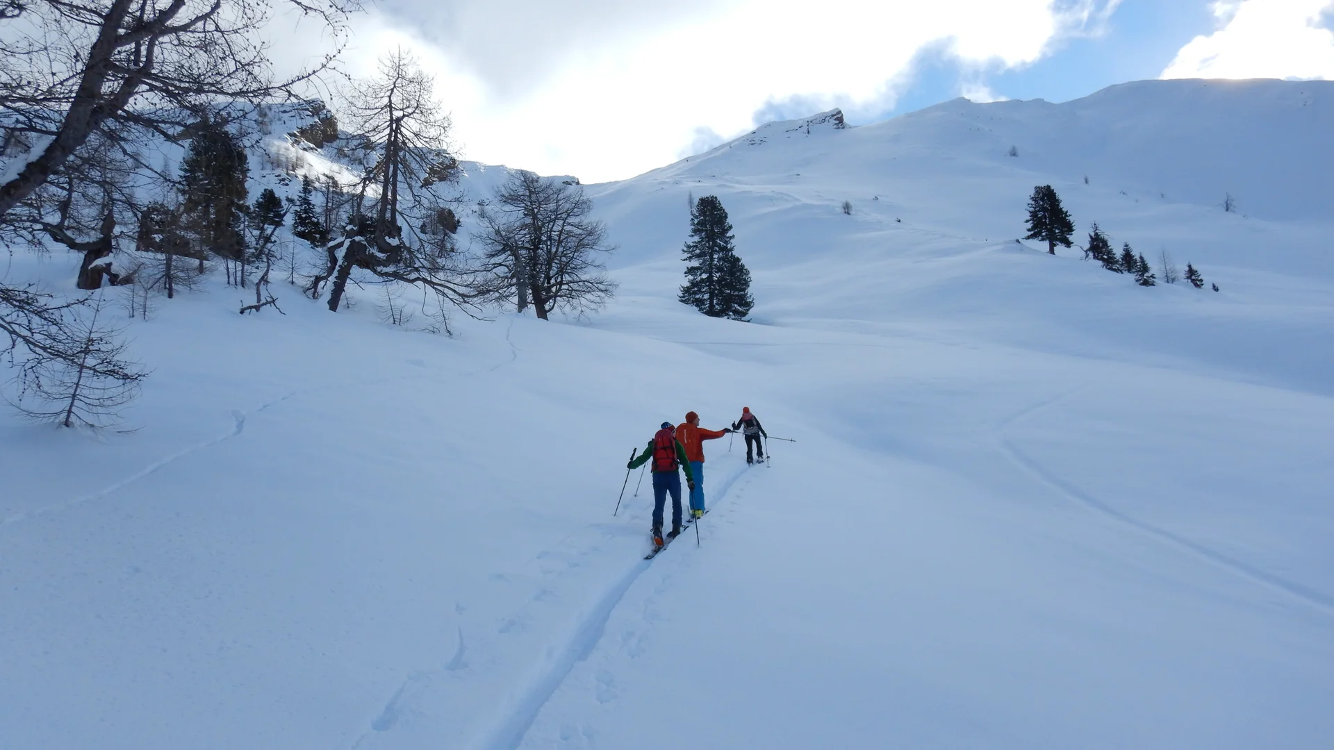 © Max Altmannshofer