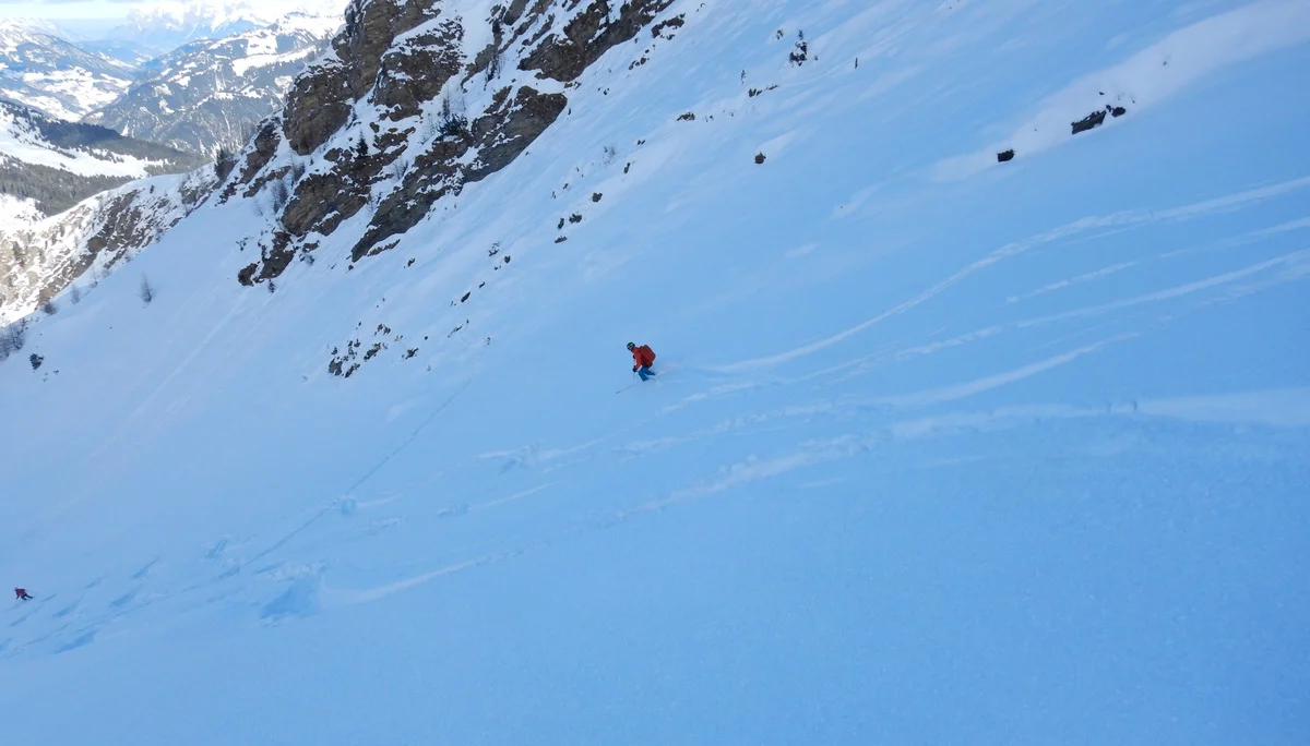 © Max Altmannshofer