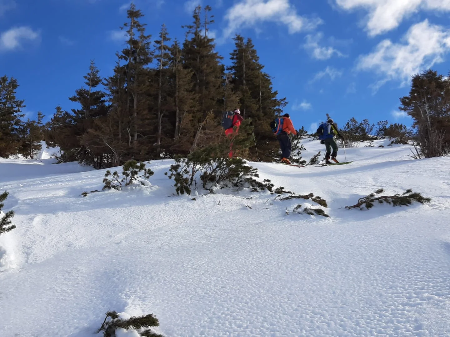 © Max Altmannshofer "Kurz vor dem Gipfel"