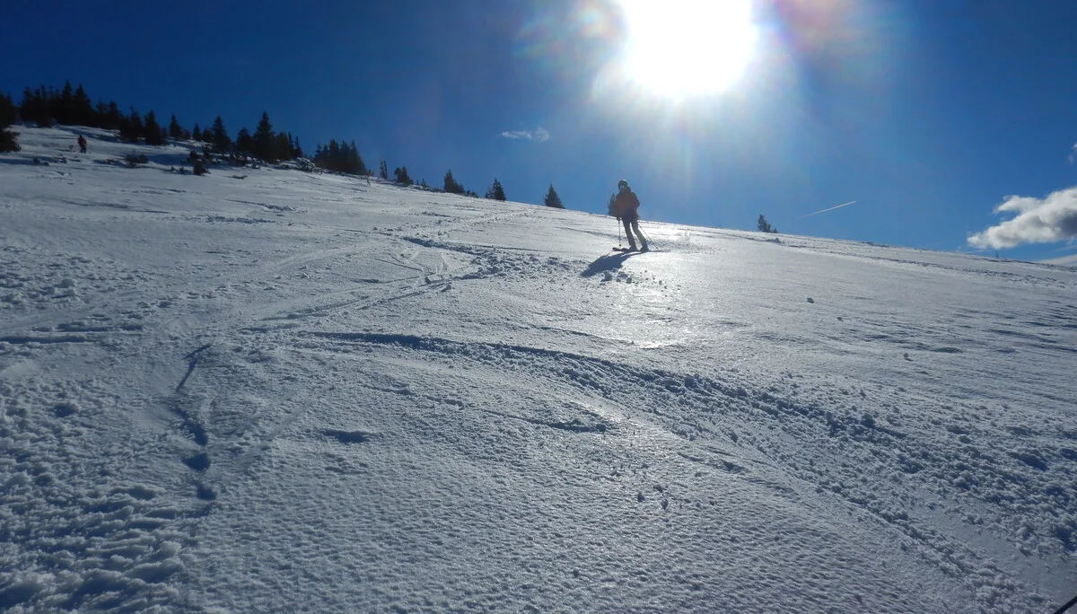 © Max Altmannshofer "Abfahrt bei traumhaftem Firn"
