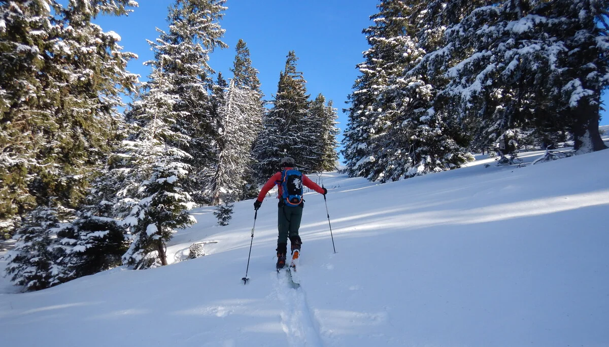 © Max Altmannshofer