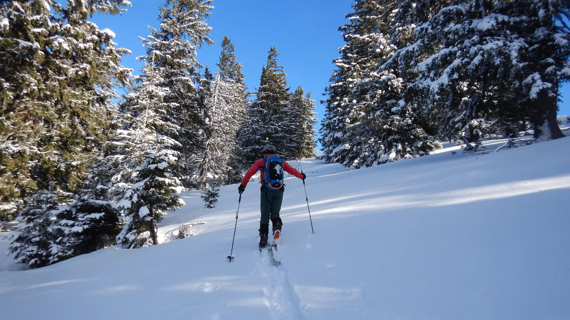 © Max Altmannshofer