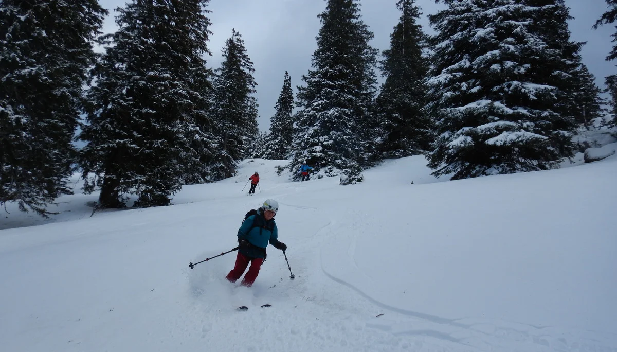 © Max Altmannshofer