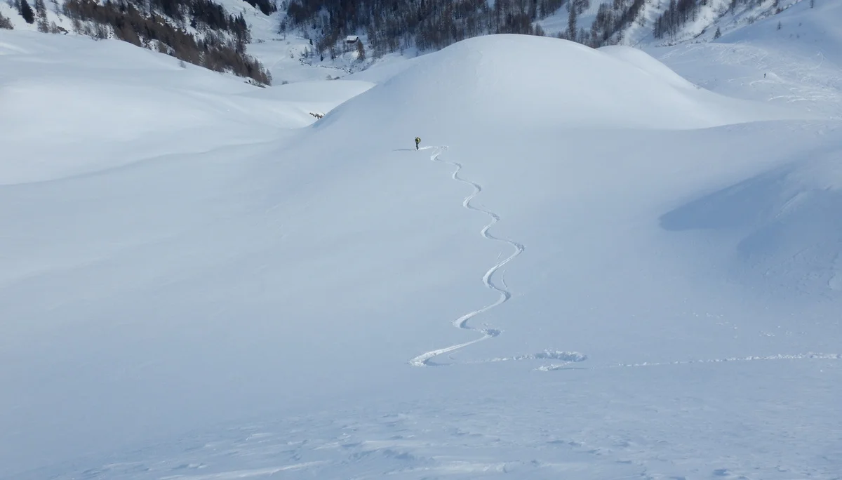 © Max Altmannshofer