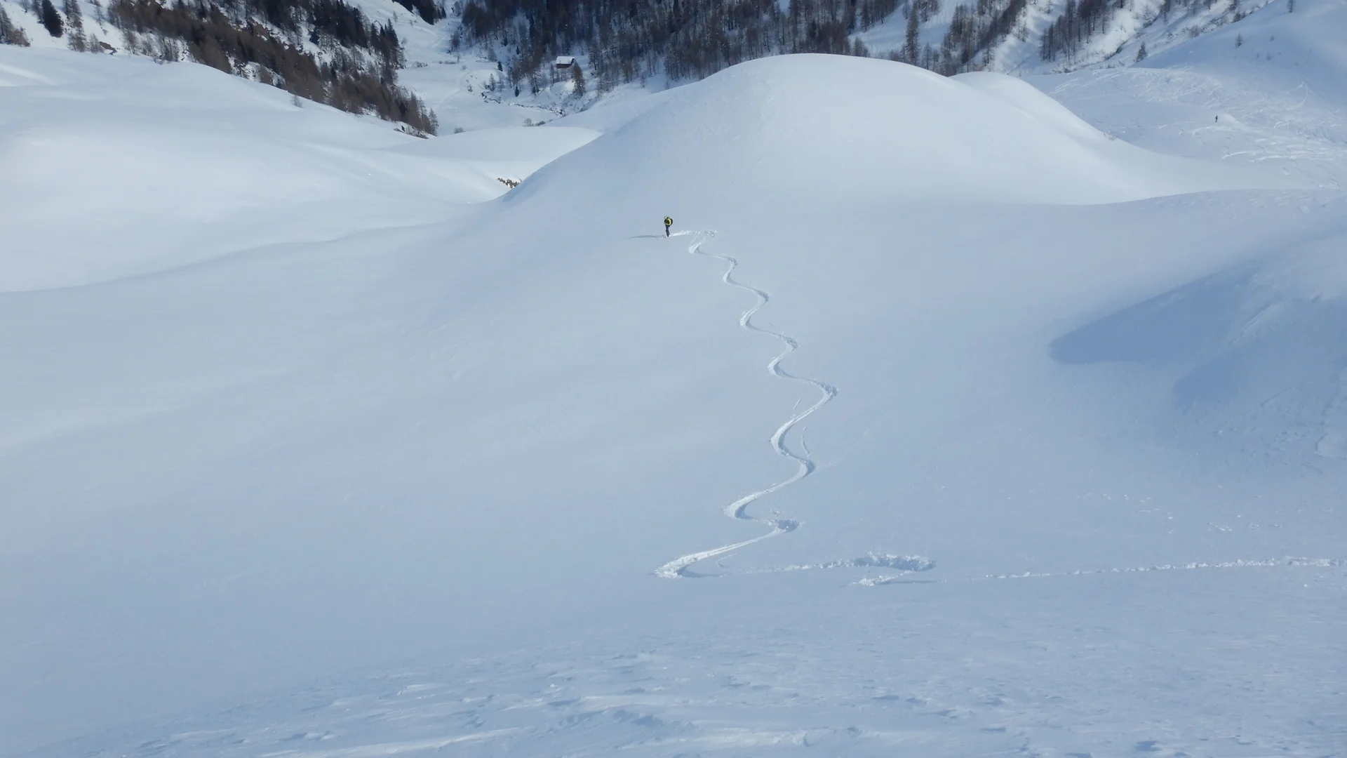 © Max Altmannshofer