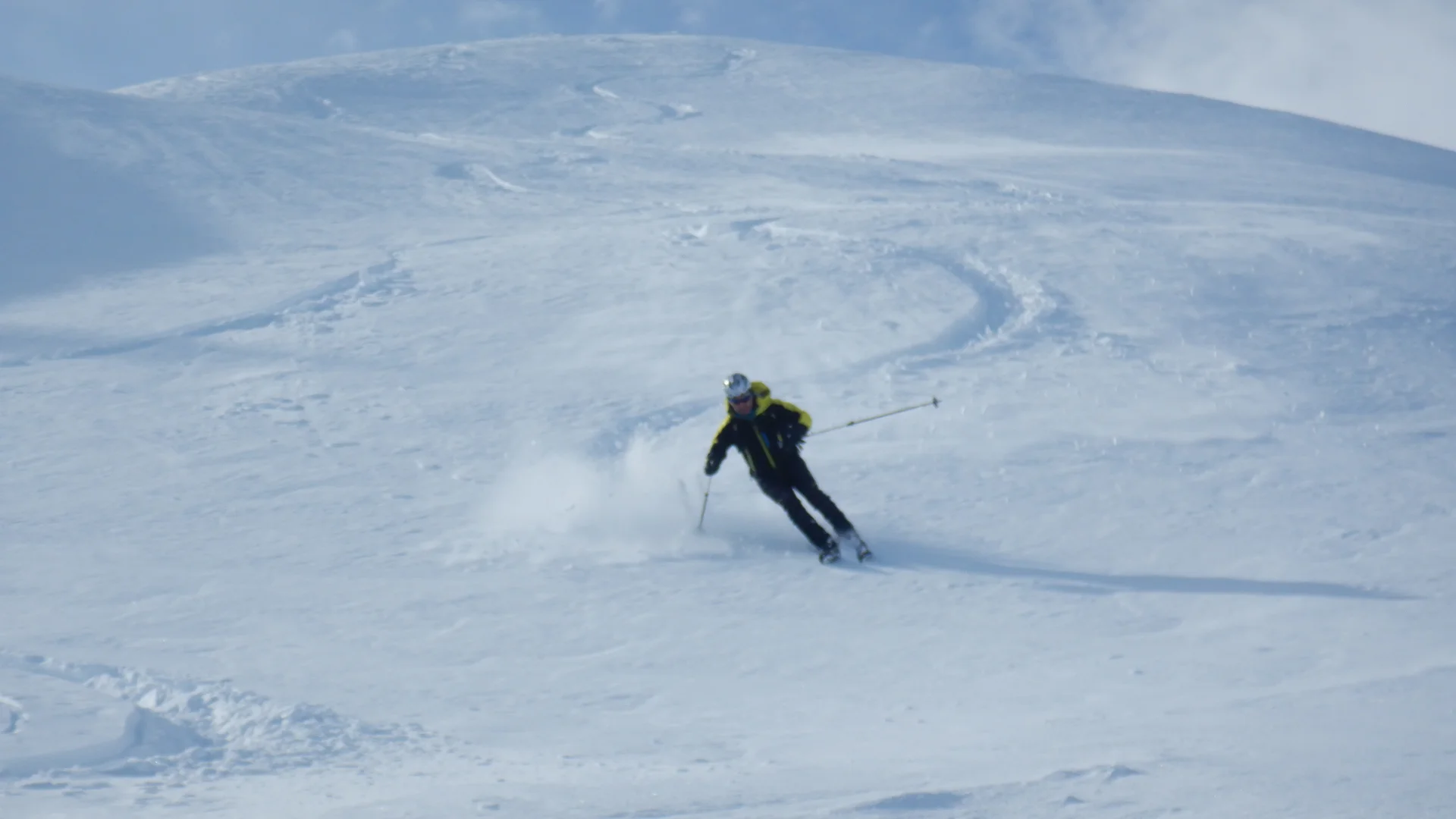 © Max Altmannshofer