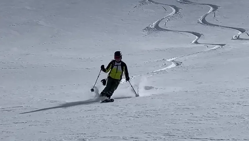 © Max Altmannshofer