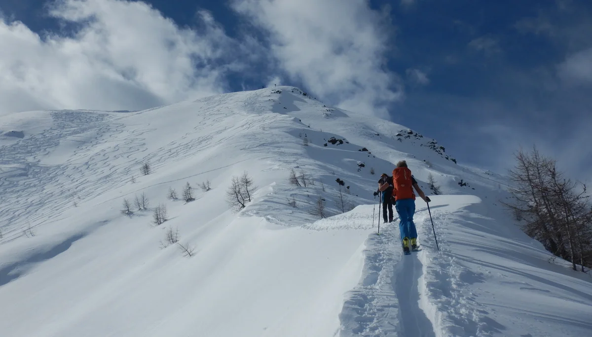 © Max Altmannshofer